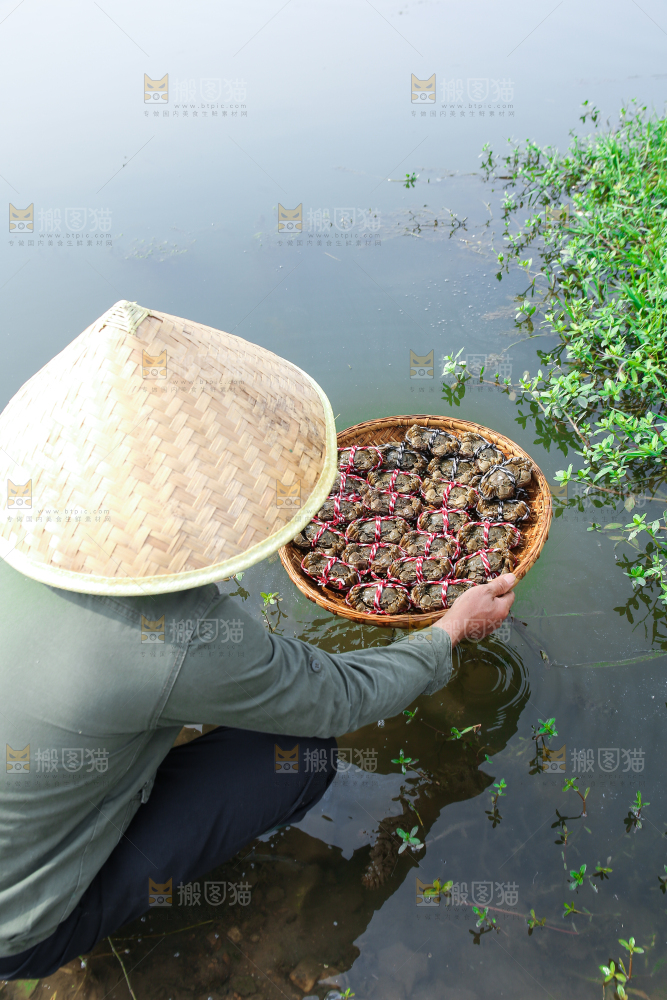 手里拿着阳澄湖大闸蟹