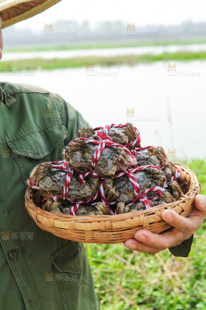 手里拿着阳澄湖大闸蟹
