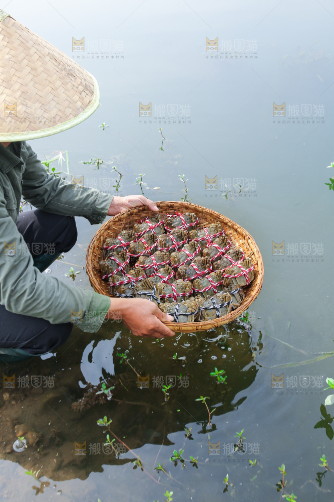 手里拿着阳澄湖大闸蟹