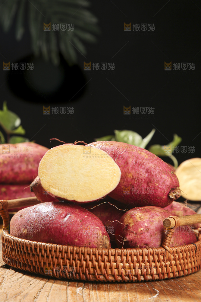 板栗薯