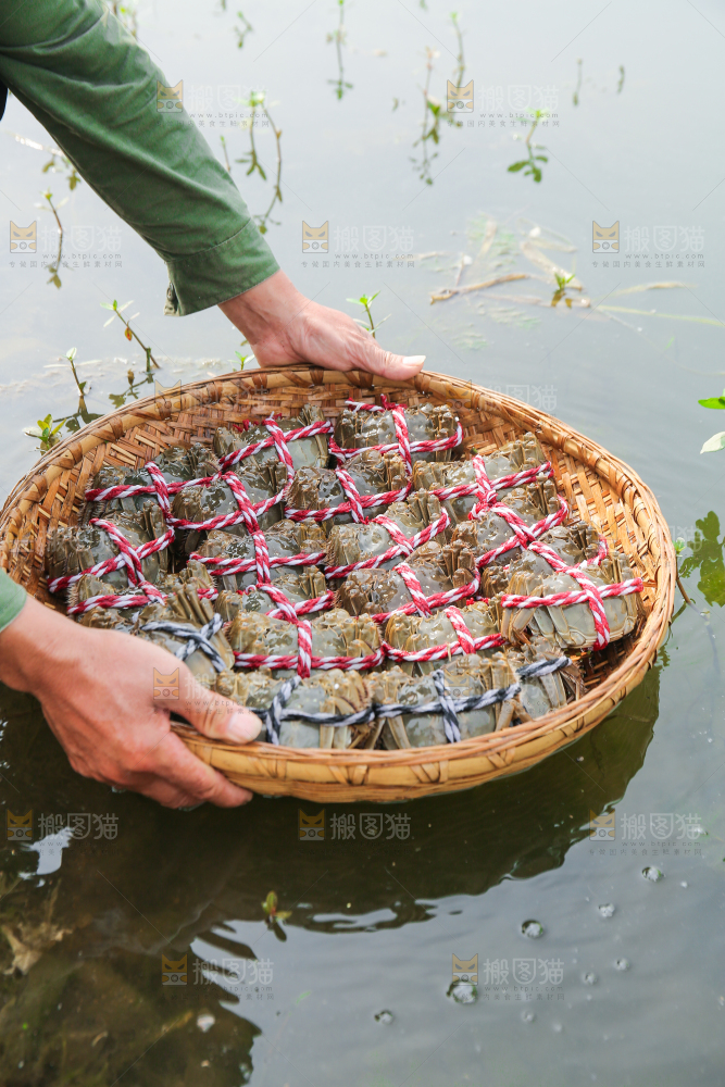 手里拿着阳澄湖大闸蟹
