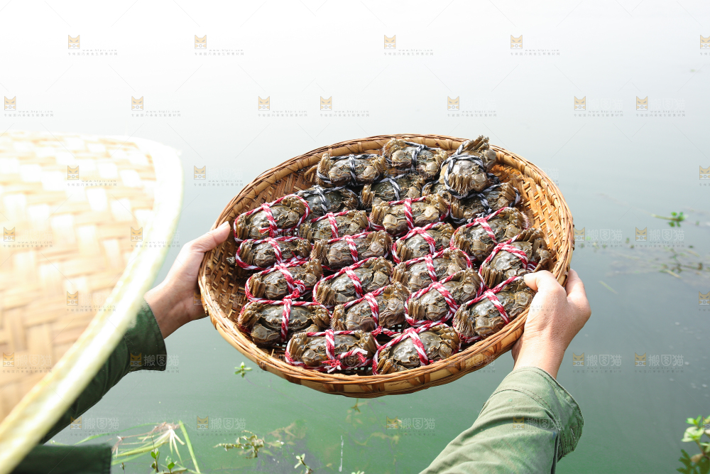 手里拿着阳澄湖大闸蟹