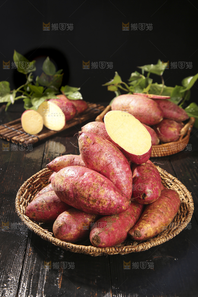 板栗薯