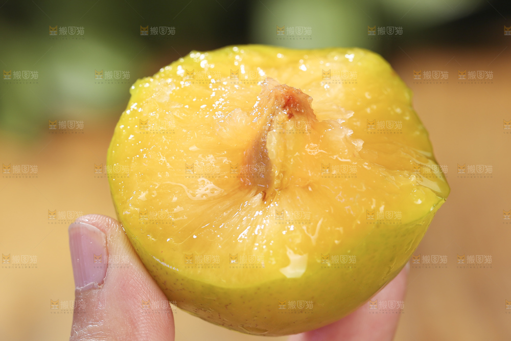 手里拿着恐龙蛋李子