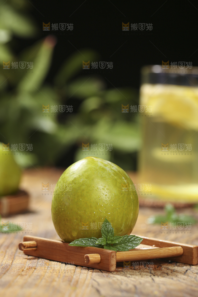 木底上放着恐龙蛋李