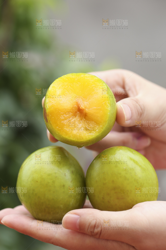 手里拿着恐龙蛋李子