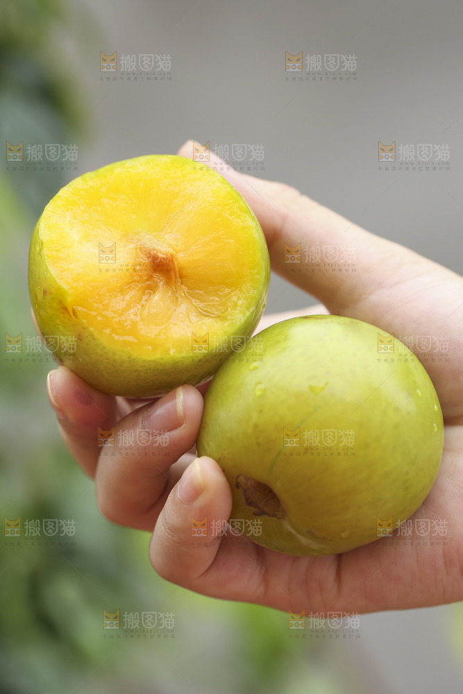 手里拿着恐龙蛋李子