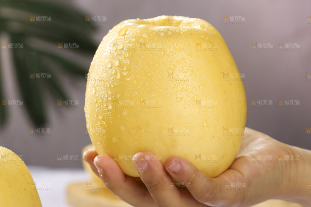 浅底上的维纳斯苹果
