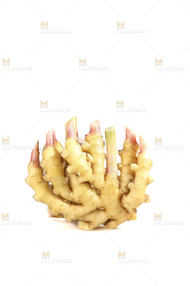 白底上的小黄姜
