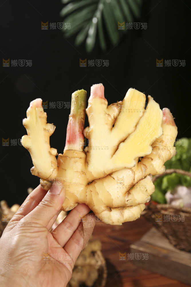 木底上的新鲜小黄姜