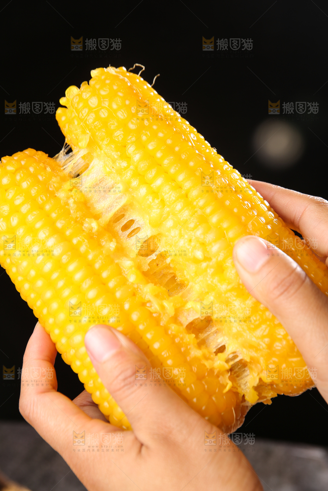 深底上的黄糯玉米