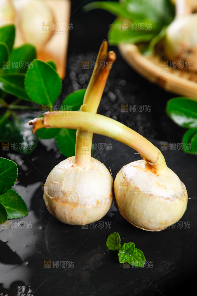 黑石板上放着白茨菇