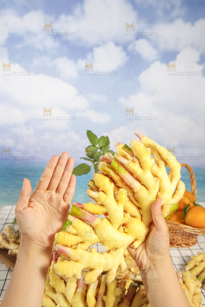 浅底上的小黄姜