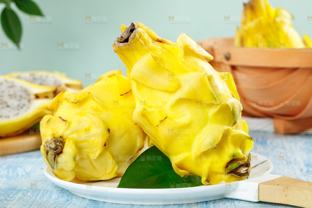 浅底上的黄皮火龙果