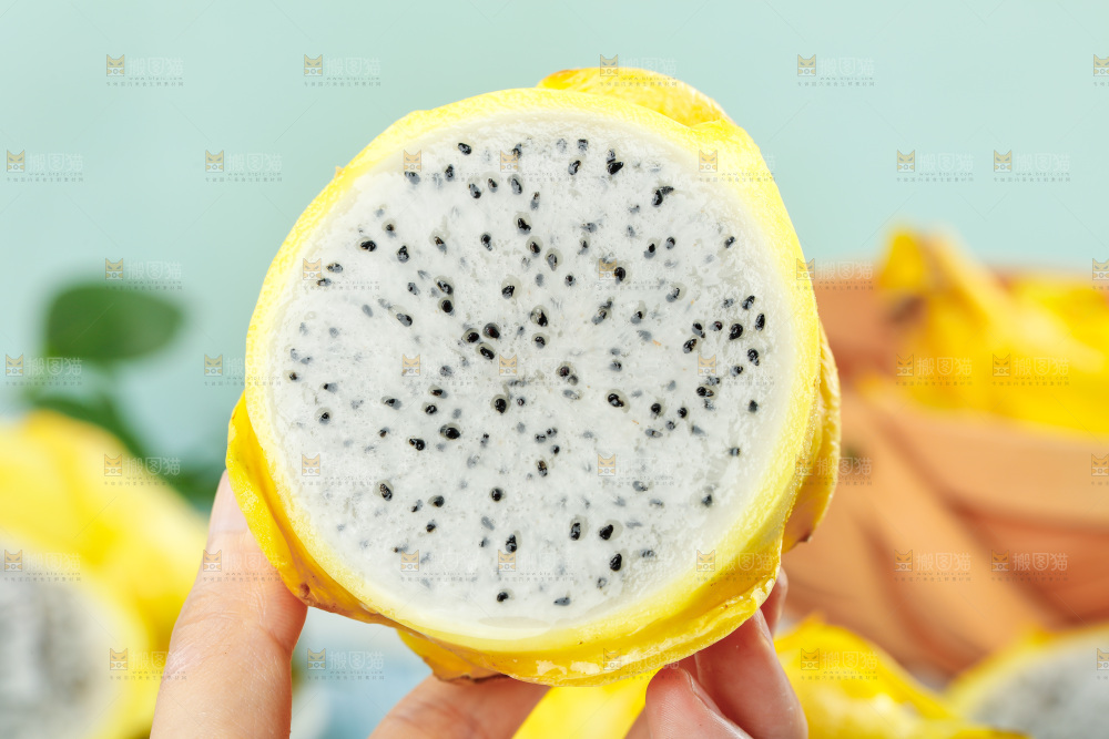 浅底上的黄皮火龙果