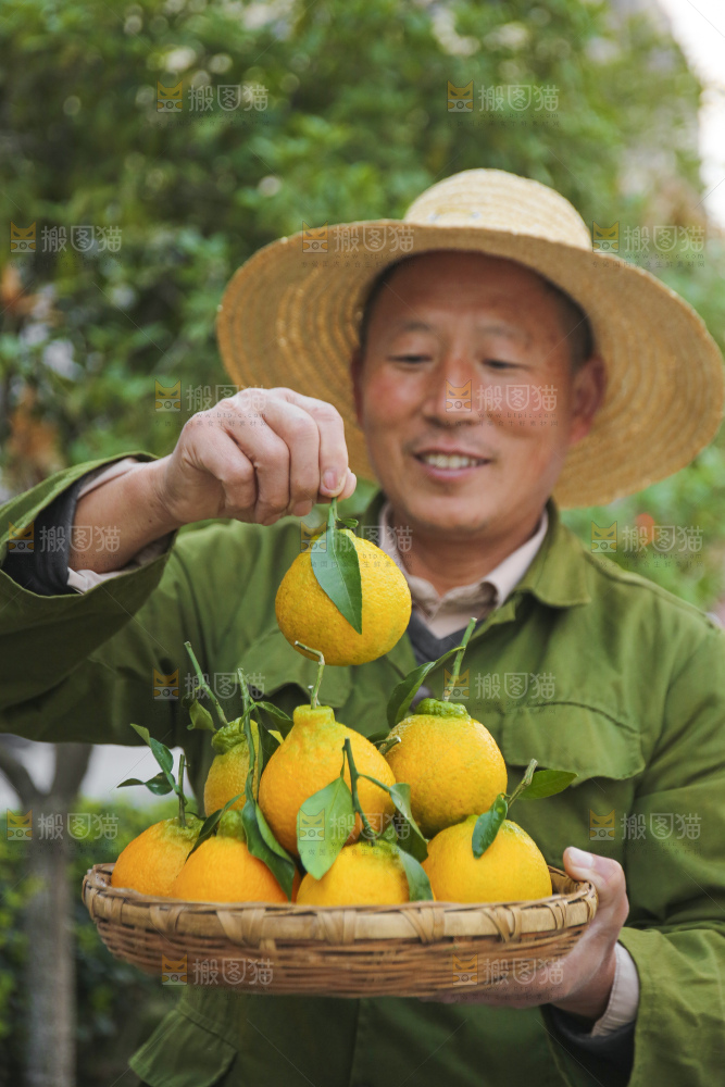 手里拿着丑八怪