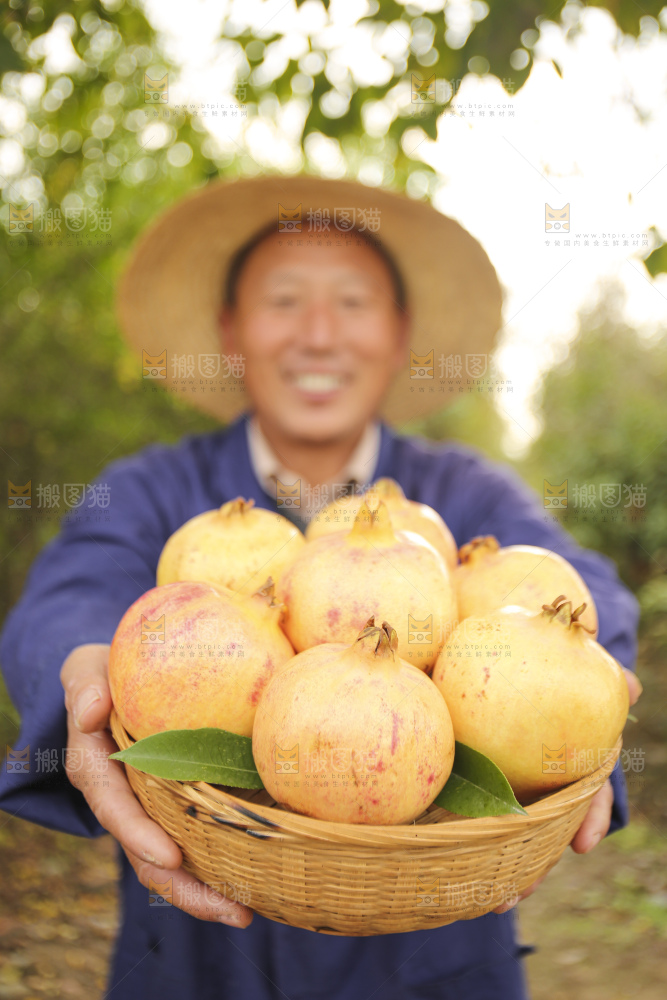 手里拿着蒙自石榴