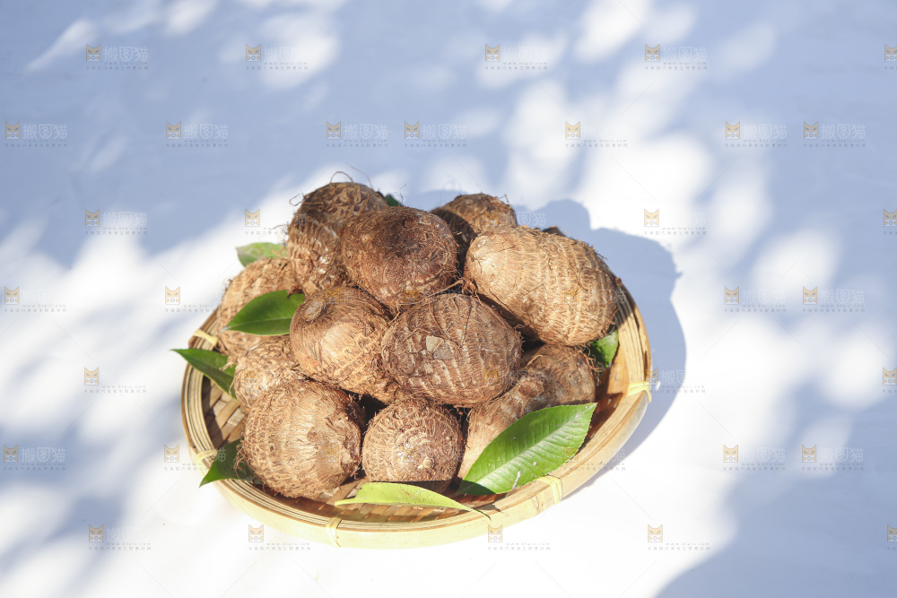 浅底上的新鲜小芋头