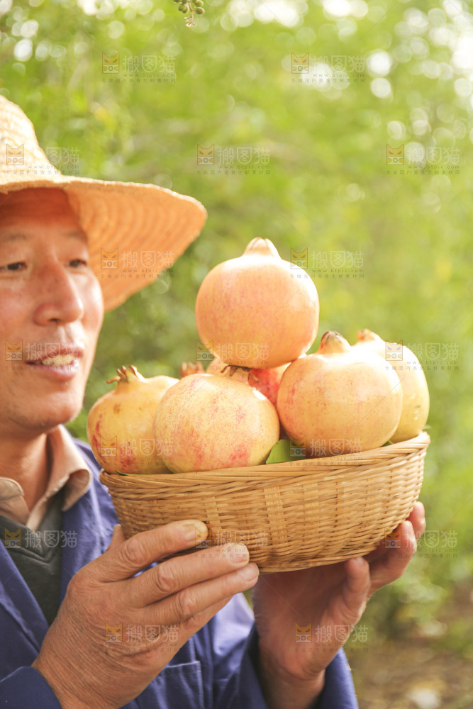 手里拿着蒙自石榴