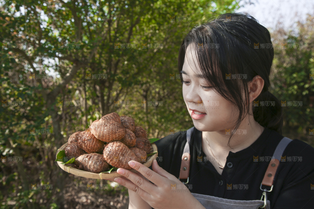 手里拿着新鲜小芋头