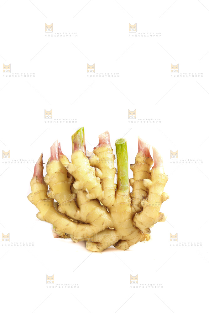 白底上的小黄姜