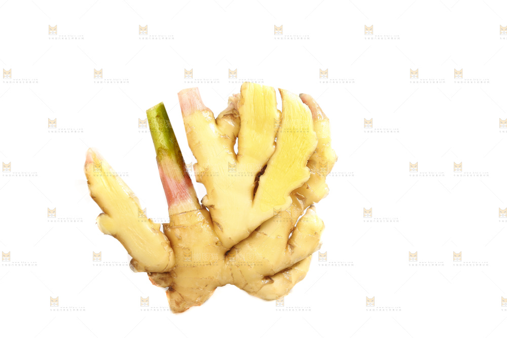 白底上的小黄姜