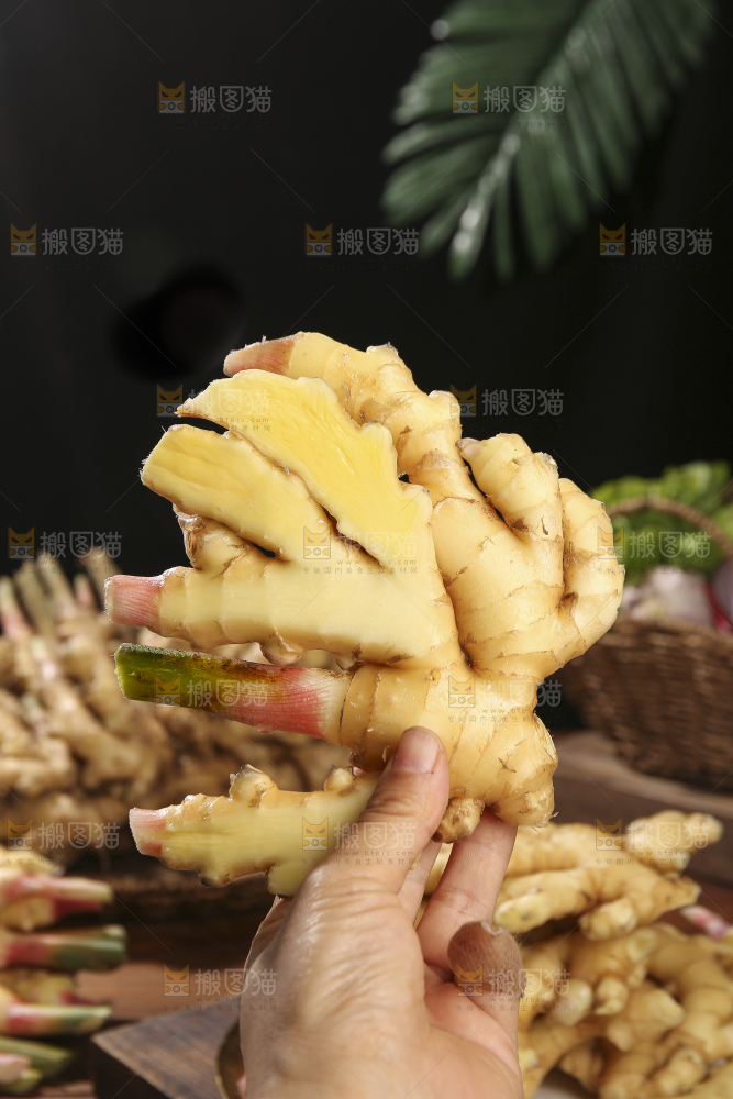 木底上的新鲜小黄姜