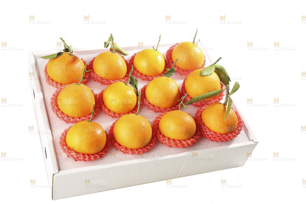 白底上的爱媛果冻橙