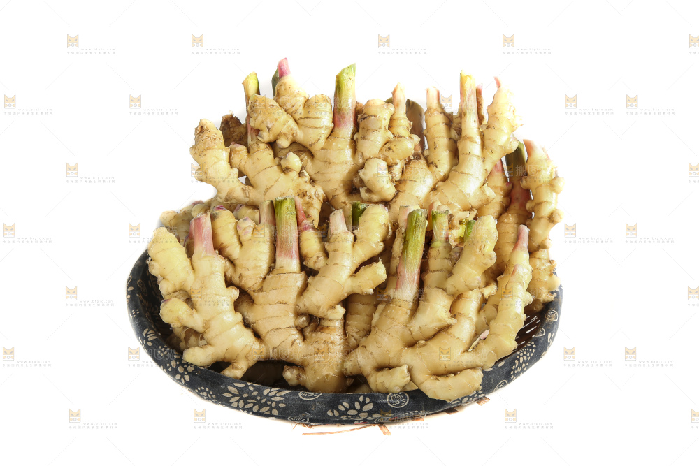白底上的小黄姜