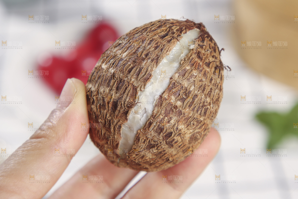 浅底上的新鲜小芋头