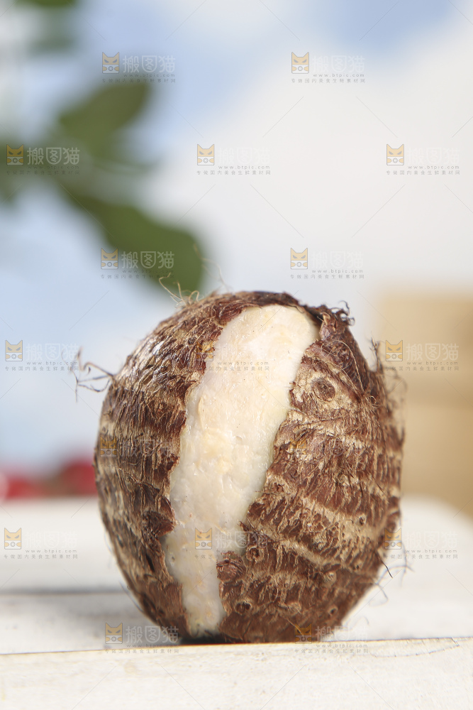 浅底上的新鲜小芋头