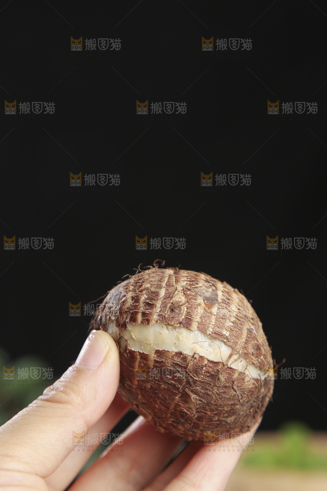 深底上的新鲜小芋头