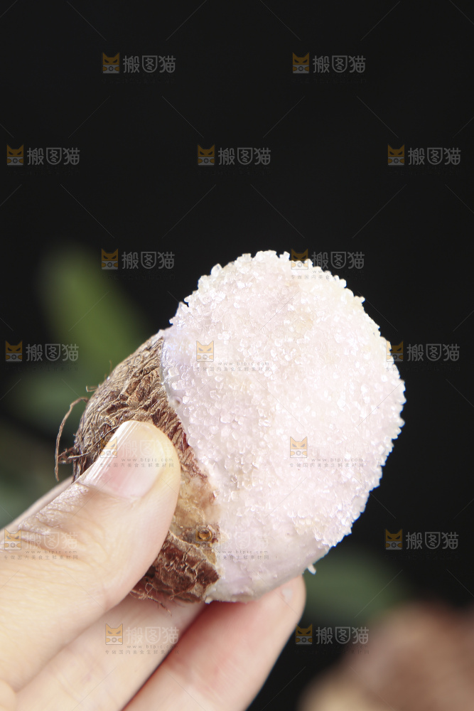 深底上的新鲜小芋头