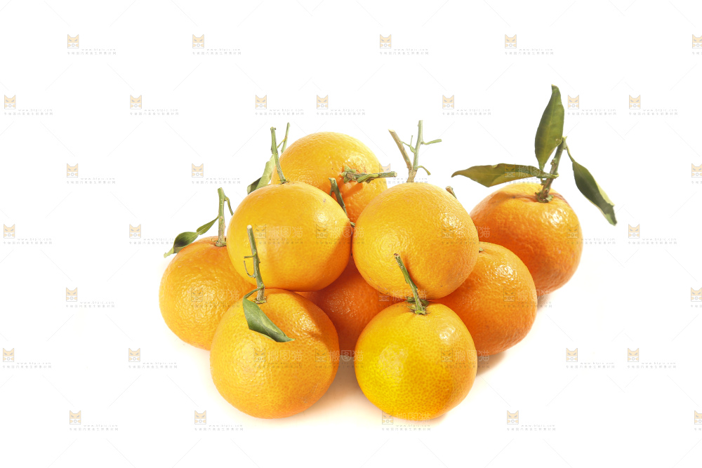 白底上的爱媛果冻橙