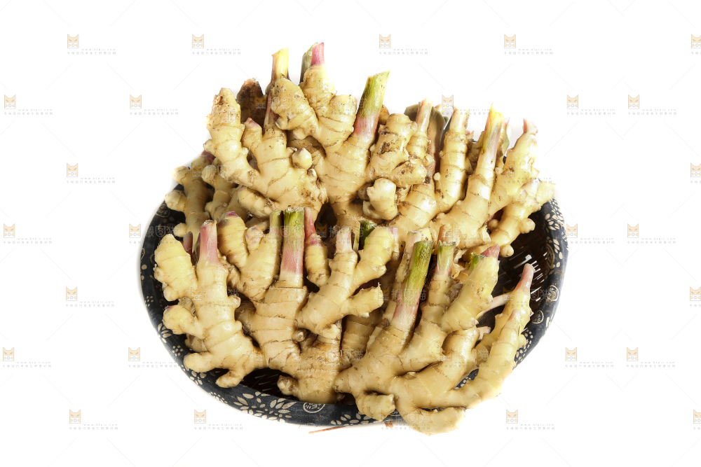白底上的小黄姜