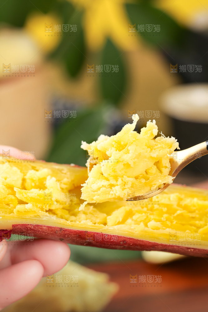 深底上的板栗红薯