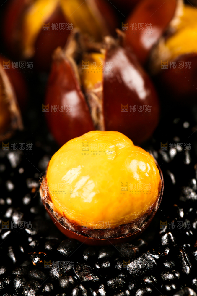 深底上的油锥栗