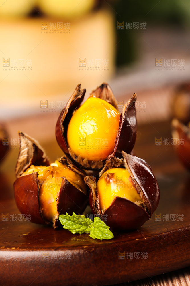 深底上的油锥栗