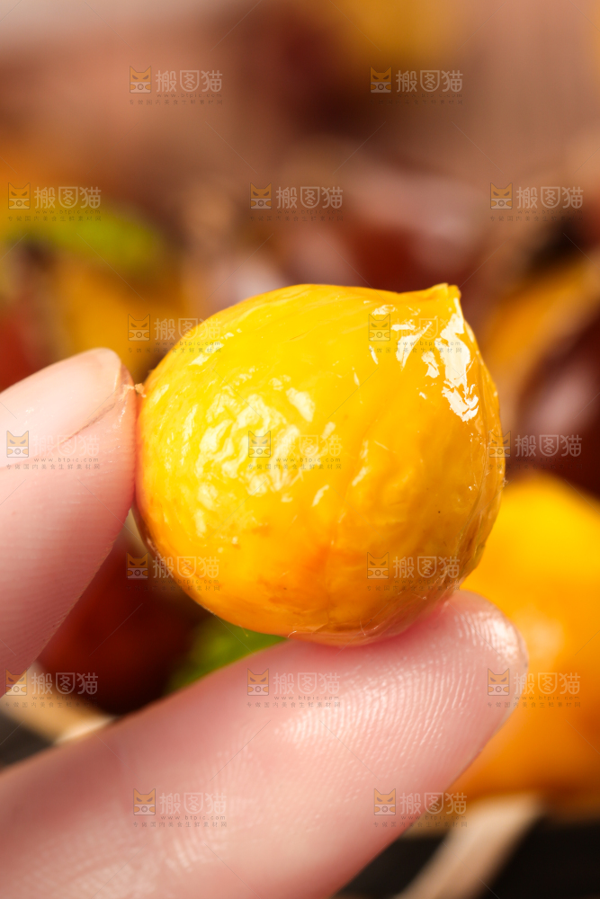 深底上的油锥栗