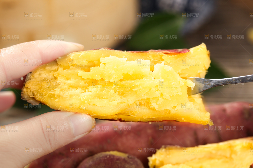 深底上的板栗红薯