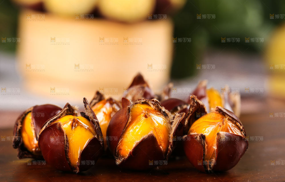 深底上的油锥栗