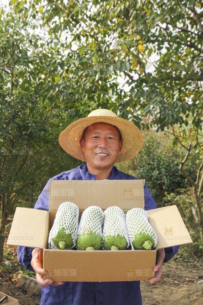 手里拿着新鲜丝瓜