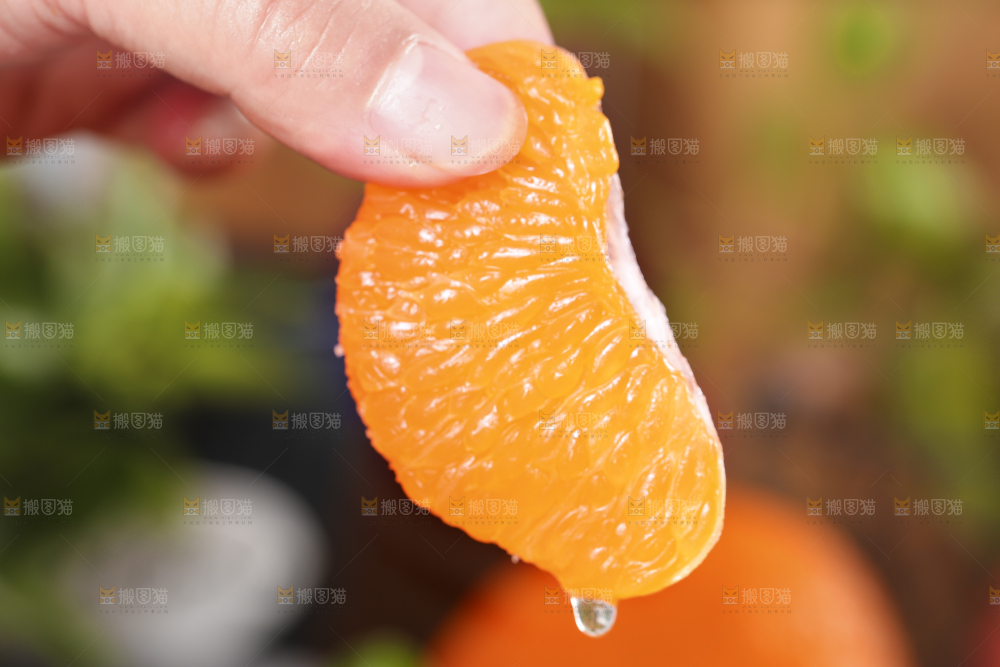 深底上的丑橘