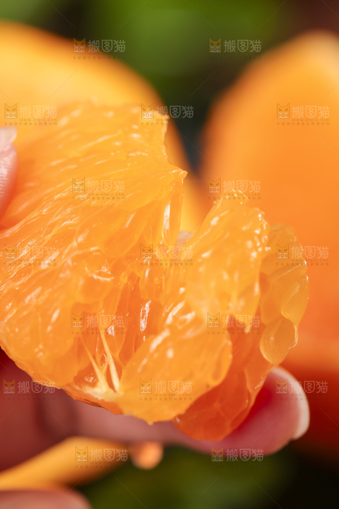 丑橘
