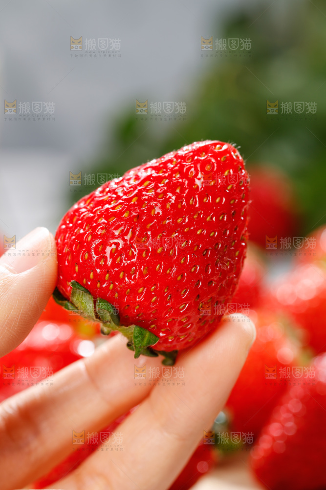 浅底上的丹东草莓