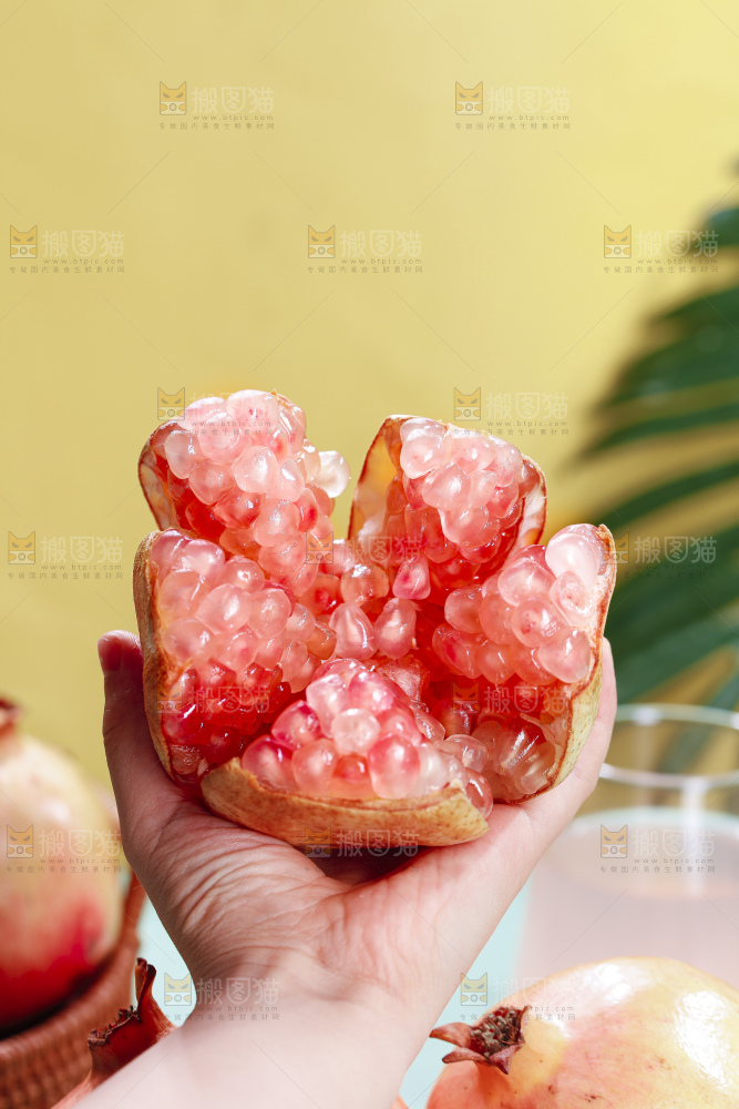 浅底上的蒙自石榴