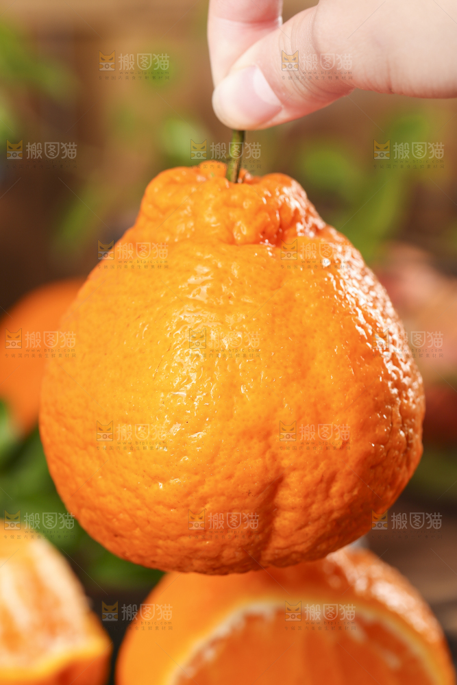 深底上的丑橘