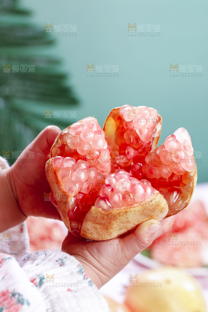 浅底上的蒙自石榴