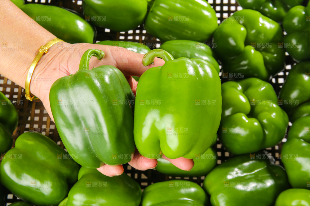 白底上的青圆椒