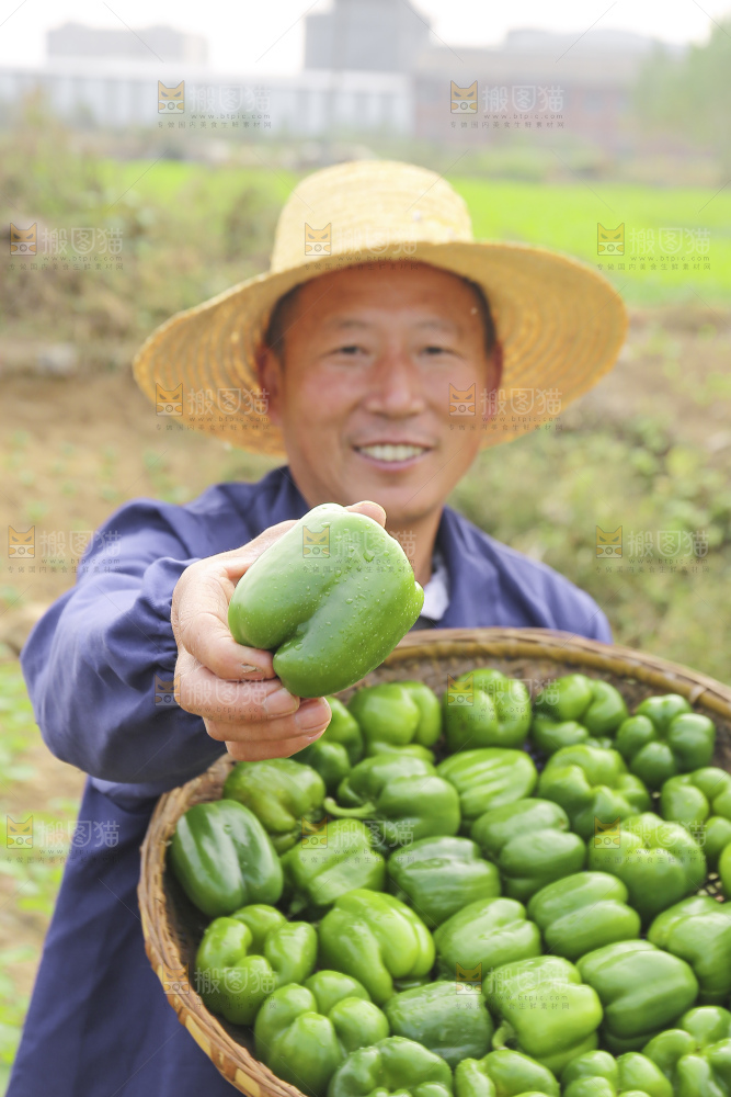 手里拿着新鲜青圆椒